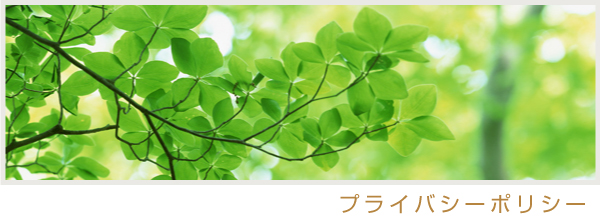 s̎ȁAǎȈ@̃vCoV[|V[